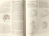 Kirpėjo knyga - kirpimo vadovėlis - nuotraukos Nr. 6
