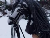 Hobby Horsing Arkliukai - nuotraukos Nr. 22