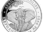 1 oz sidabrinė moneta Dramblys, Somalis 2021