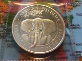 Somalis 2021 Drambliu serija Ag999 1oz