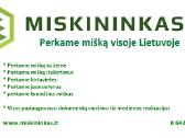 Perkame mišką visoje Lietuvje
