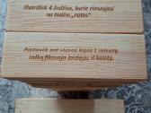 Lauko žaidimų nuoma, kamuoliukų baseino nuoma - nuotraukos Nr. 16