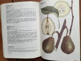 "Lietuvos pomologija" - nuotraukos Nr. 6