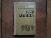 Jonas Avyžius "Kaimas Kryžkelėje" 1970 metai