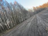 Kelmų frezavimas, apleistų plotų tvarkymas . - nuotraukos Nr. 6