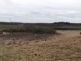 Kelmų frezavimas, apleistų plotų tvarkymas . - nuotraukos Nr. 8