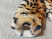 Karnavalinis kostiumas leopardas - nuotraukos Nr. 4