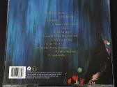Tom Chaplin – Twelve Tales Of Christmas - nuotraukos Nr. 2