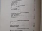 "Lietuviškos pasakos" Chicago 1951 metai - nuotraukos Nr. 8