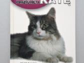 Knyga apie katės priežiūrą