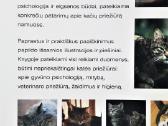 Knyga apie katės priežiūrą - nuotraukos Nr. 7