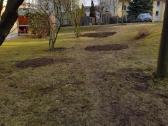 Kelmų frezavimas, naikinimas , šalinimas, rovimas - nuotraukos Nr. 17