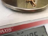 Auksinė grandinėlė Karališkas pitonas - nuotraukos Nr. 19