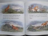 Angliškos knygelės vaikams - nuotraukos Nr. 27