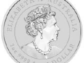 1oz ir netik investicines kolekcines monetos - nuotraukos Nr. 4