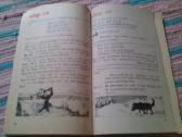 English Reader Form 4 Irena Kubilienė - nuotraukos Nr. 2