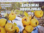 Žurnalai sodininkams ir ne tik - nuotraukos Nr. 9