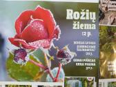 Žurnalai sodininkams ir ne tik - nuotraukos Nr. 12