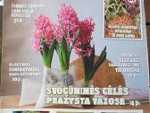 Žurnalai sodininkams ir ne tik - nuotraukos Nr. 14