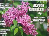 Žurnalai sodininkams ir ne tik - nuotraukos Nr. 16
