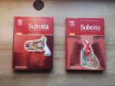 Sobotta žmogaus atlasų komplektas (lot./en.) - nuotraukos Nr. 5