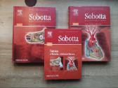 Sobotta žmogaus atlasų komplektas (lot./en.)