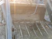 Dalimis - nuotraukos Nr. 27