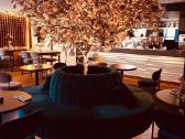Medžio masyvo stalviršiai restoranui 500eur - nuotraukos Nr. 2