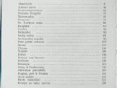 Pranas Treinys. Saulėlydžio vieversys (1988) - nuotraukos Nr. 2