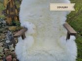 Avikailis - nuotraukos Nr. 4