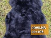 Avikailis - nuotraukos Nr. 20