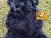 Avikailis - nuotraukos Nr. 18