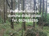 Sausos Malkos,atraižos, žvyras, smėlis, Radviliški - nuotraukos Nr. 28