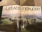 Knyga Lietuvos miškuose - nuotraukos Nr. 2
