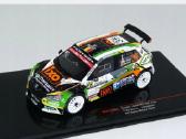 Rally modeliukai