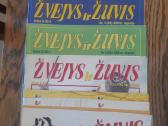Žvejys ir žuvis ir Meškeriotojas - nuotraukos Nr. 11