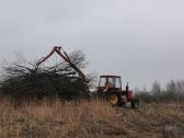 Medžių pjovimas,genėjimas,apleistų sklypų, šakų - nuotraukos Nr. 9