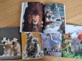 Mažyliai+žvėrys zoologijos sode+naminiai gyvūnai - nuotraukos Nr. 3