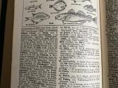 Der Sprach Brockhaus - nuotraukos Nr. 2