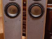 Tannoy Sensys 2 kolonėlės