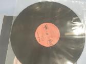 Vokai vinilinėms plokštelėms - nuotraukos Nr. 3
