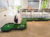 Mini golfas ofise - nuotraukos Nr. 3
