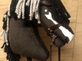 Hobby Horsing Arkliukai - nuotraukos Nr. 26