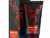 Maral Gel - gelis erekcijai gerinti