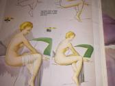1950 m. Mokomieji piesimo zurnalai 12, 19 nr. - nuotraukos Nr. 4