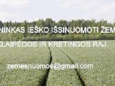 Ieškome išsinuomoti žemės Kretingos ,Klaipėdos raj