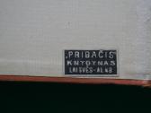 Antikvarinė 1935m knyga Kauno knigynas Pribačis - nuotraukos Nr. 5