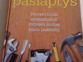 Meistrystės paslaptys