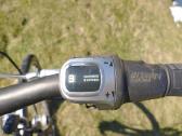 Dviratis Focus Wasgo XL - nuotraukos Nr. 15