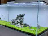 Akvariumų klijavimas, įrengimas, priežiūra - nuotraukos Nr. 30